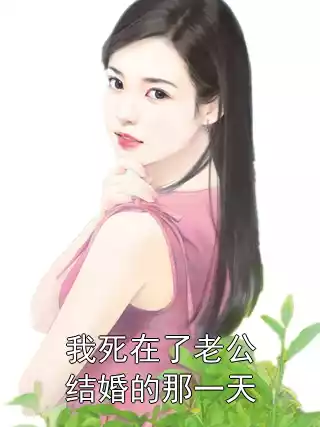 我死在了老公结婚的那一天小说