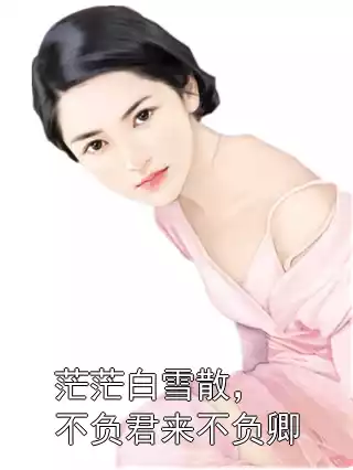 茫茫白雪散，不负君来不负卿小说