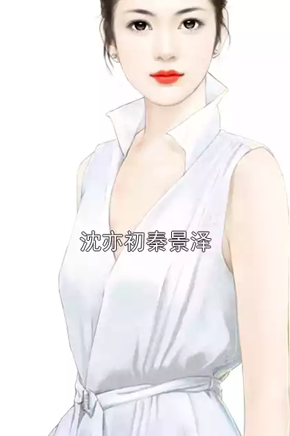 沈亦初秦景泽小说