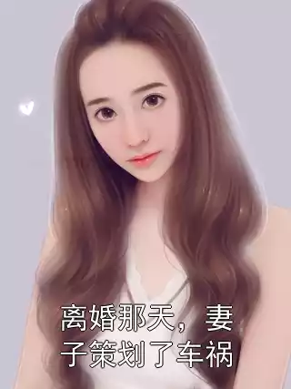 离婚那天，妻子策划了车祸小说