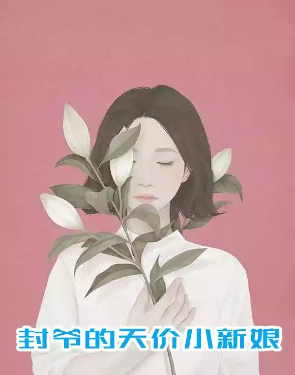 封爷的天价小新娘小说