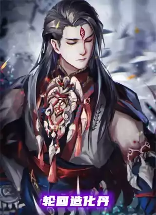 轮回造化丹小说