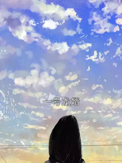 一号龙婿小说