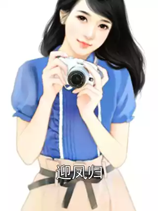 迎凤归小说