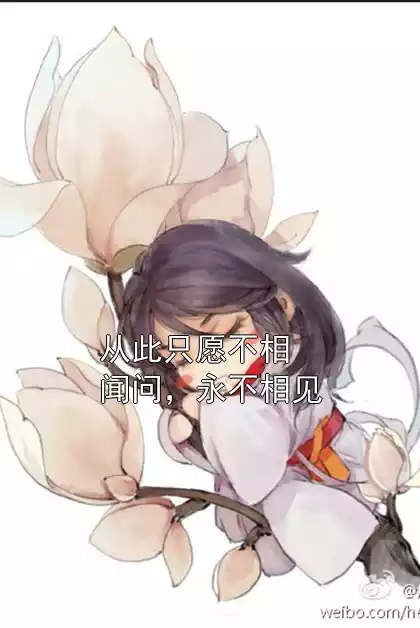 从此只愿不相闻问，永不相见小说