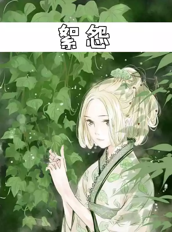 絮怨小说