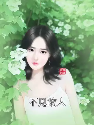 不见故人小说