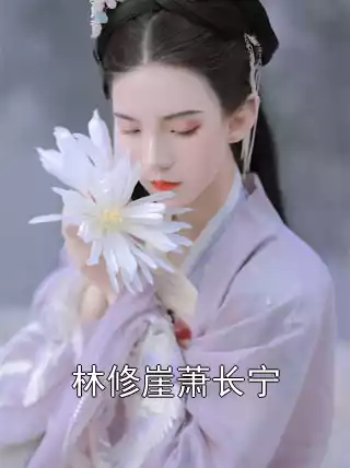 林修崖萧长宁小说