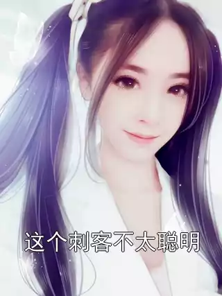 这个刺客不太聪明
