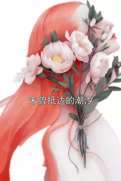 未曾抵达的潮汐小说