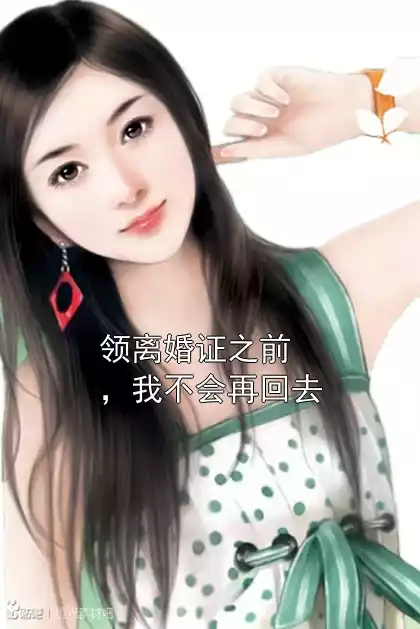 领离婚证之前，我不会再回去小说