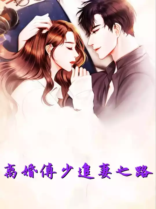 离婚傅少追妻之路