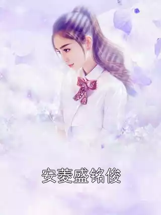 安菱盛铭俊小说