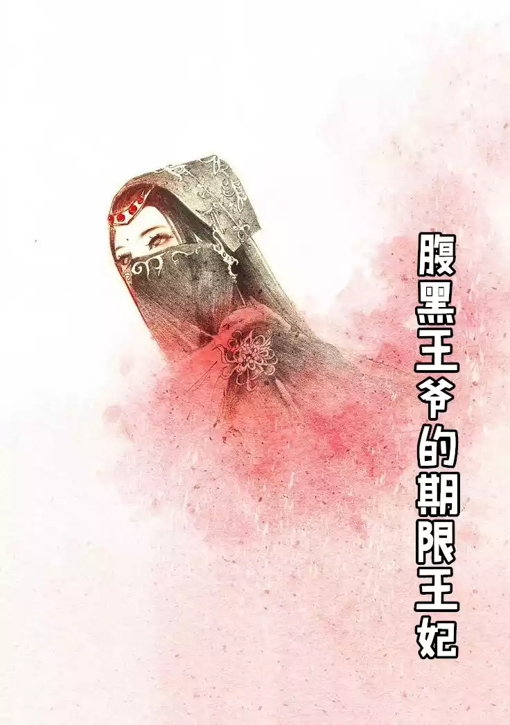 腹黑王爷的期限王妃小说