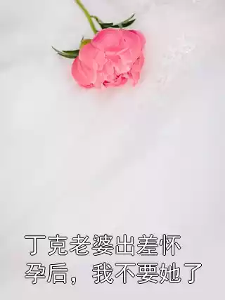 丁克老婆出差怀孕后，我不要她了小说