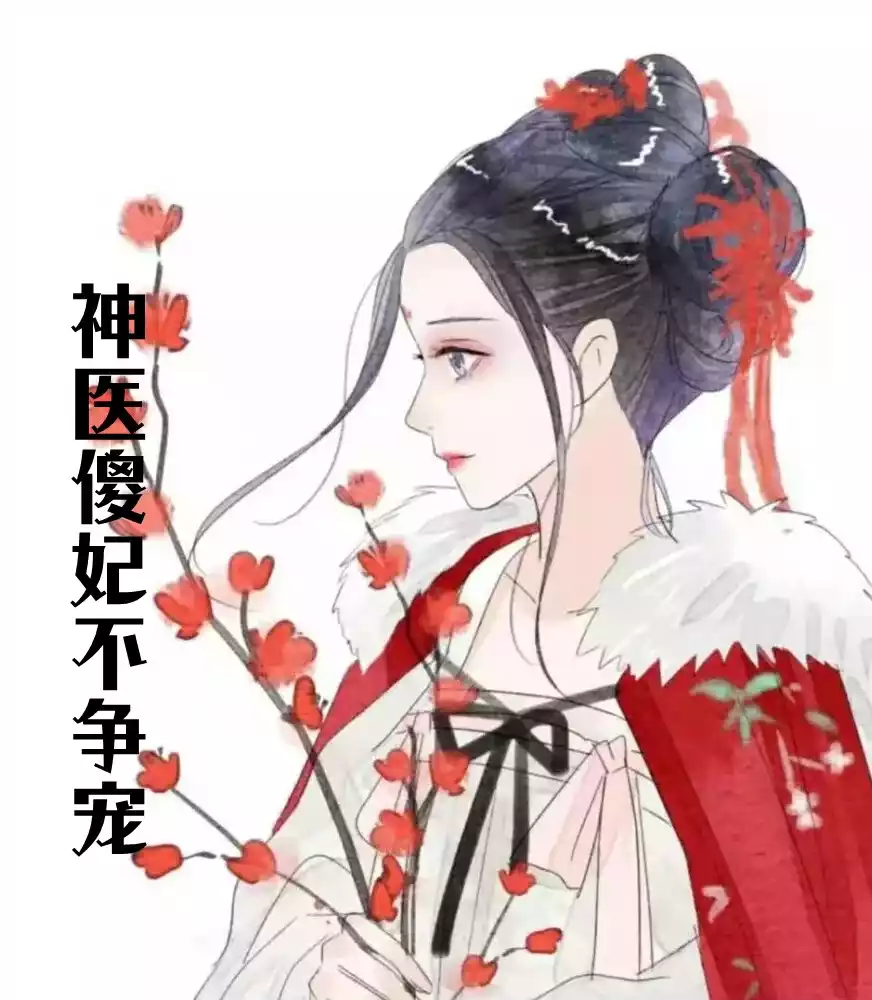 神医傻妃不争宠小说
