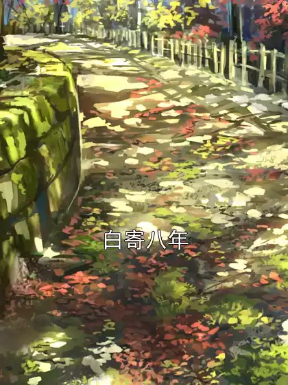 白寄八年小说