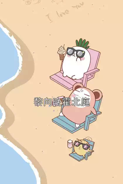 黎向晚霍北庭小说