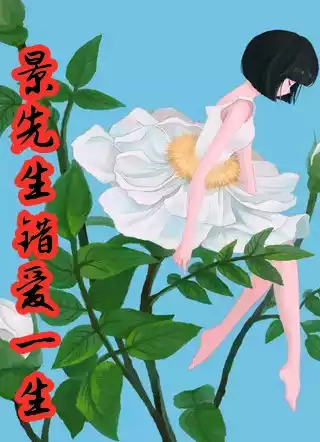 景先生错爱一生小说小说