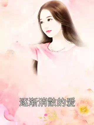 逐渐消散的爱小说