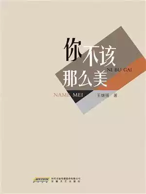 你不该那么美小说