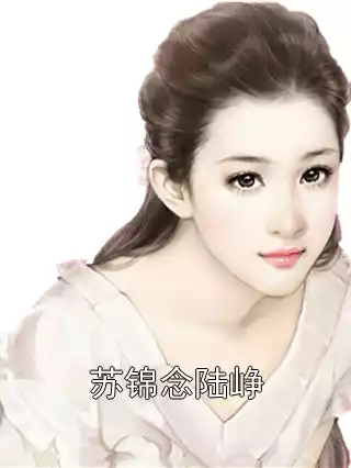 苏锦念陆峥小说