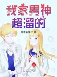 我家男神超溜的小说