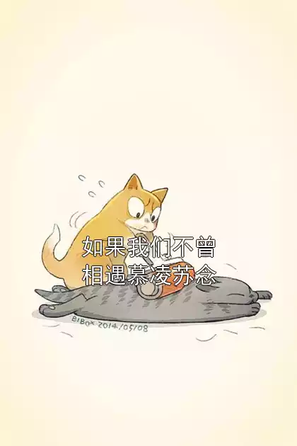 如果我们不曾相遇慕凌苏念