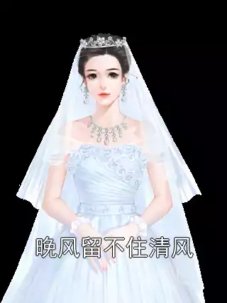 晚风留不住清风小说