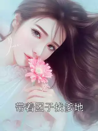 带着团子找爹地小说