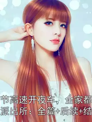 春节高速开夜车，全家都进了派出所：全篇+后续+结局