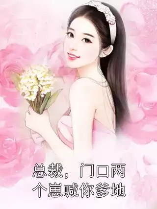 总裁，门口两个崽喊你爹地小说