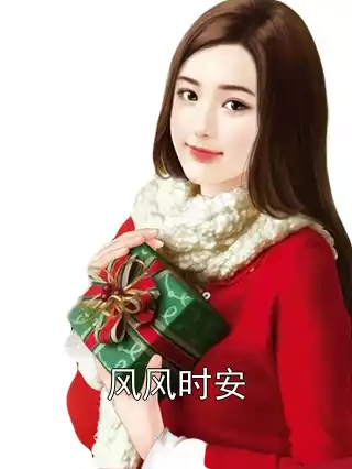 风风时安小说
