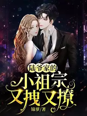 陆爷家的小祖宗又拽又撩小说