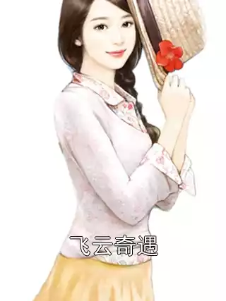 飞云奇遇小说