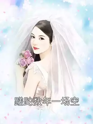 蹉跎数年一场空小说