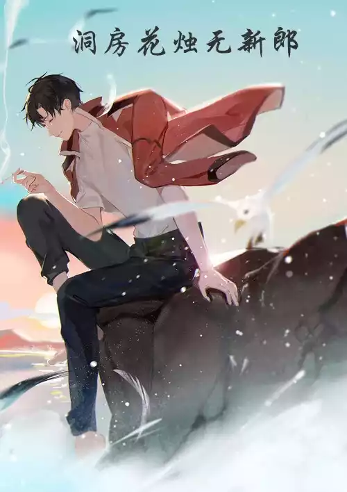洞房花烛无新郎小说