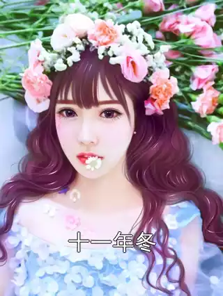 十一年冬小说