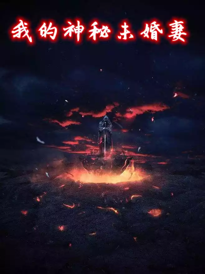 我的神秘未婚妻