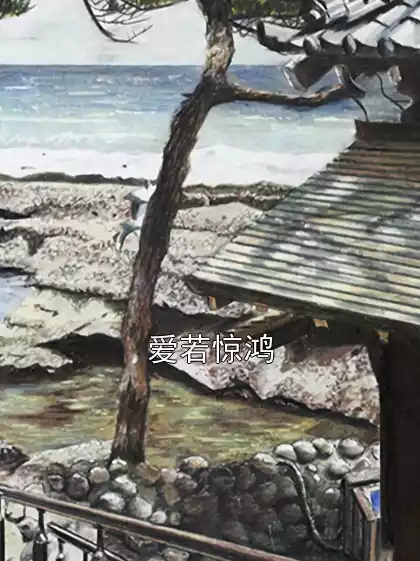 爱若惊鸿小说
