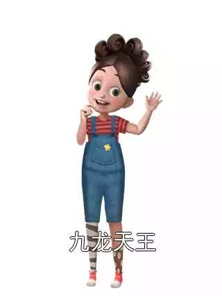 九龙天王小说