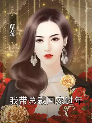 我带总裁回家过年