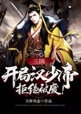 三国开局汉少帝拒绝被废小说