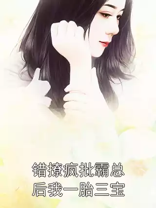 错撩疯批霸总后我一胎三宝小说