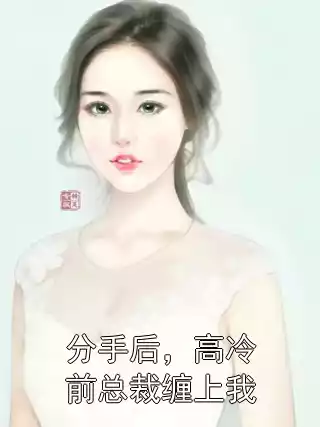 分手后，高冷前总裁缠上我小说