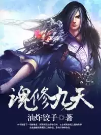 魂修九天小说
