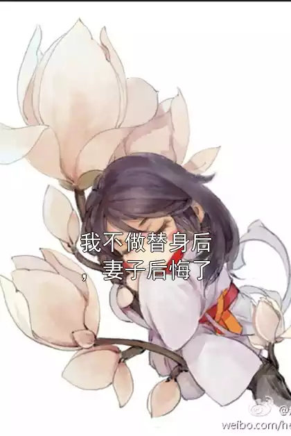 我不做替身后，妻子后悔了