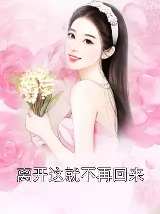 离开这就不再回来小说
