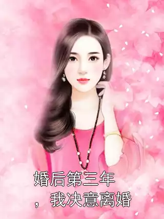 婚后第三年，我决意离婚小说