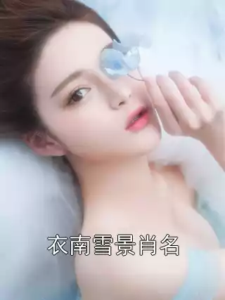 衣南雪景肖名小说